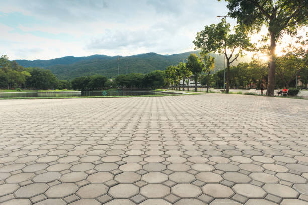 Best Brick Driveway Pavers  in Plantation, FL